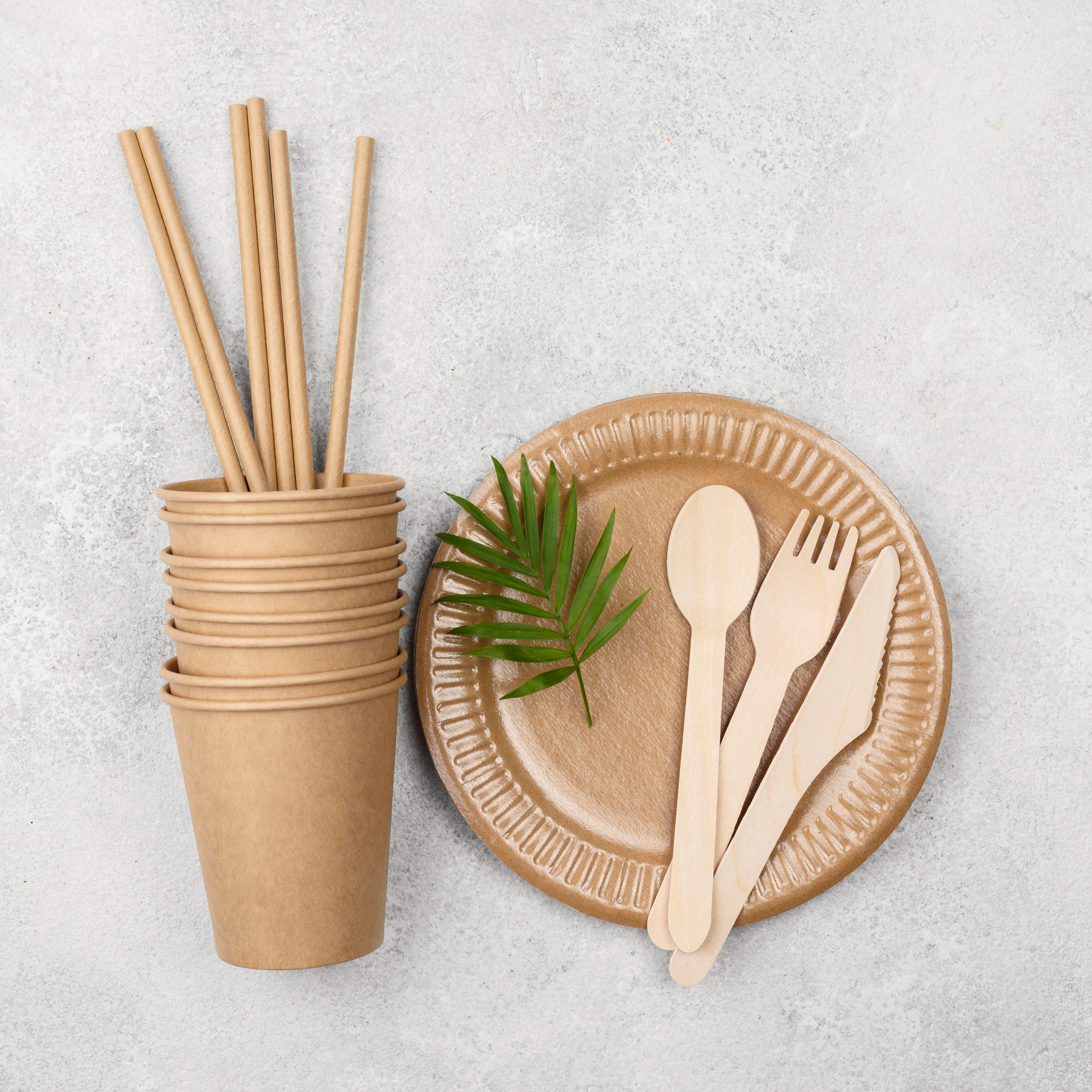 Bamboo Cutlery